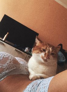 Babellea Ню photo 4867295