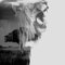 Pirate-