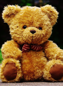 My Photos