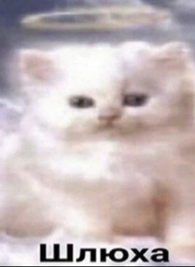 Katekisss1 My Photos photo 5383633