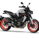 Moto