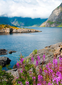 Barss84 My Photos photo 4900892