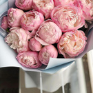 Kamilla_Novak wish list item 1 thumbnail