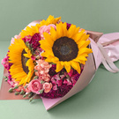 sunflowers