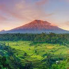 I wanna go to Bali))