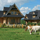 Домик в деревне