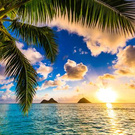 Visit Hawaii