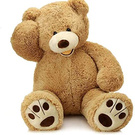 Teddy bear