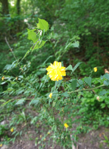 igorek9128 My Photos photo 4959080