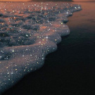 Pink sea and stars