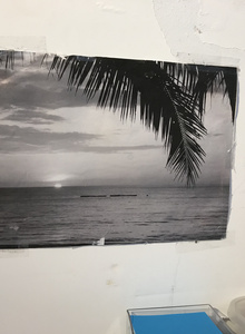 TABOGA My Photos photo 5070573
