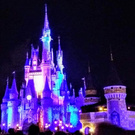 I'm on my way to disney