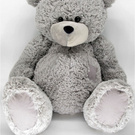 большой медведь (big bear)