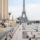 Trip to Paris