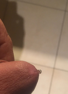 Nolle5729 My Photos photo 5356230