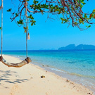 I wish you good greedy friends