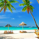 my dream