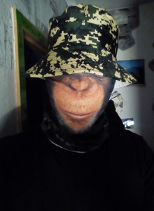 My Photos