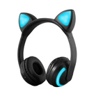 Kitty cat headphones with mic