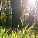 Хочется всего