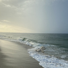 Beach Trip