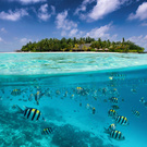 trip to maldives