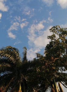 Fotografija #5115233