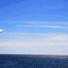 travel a lot