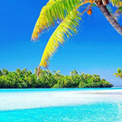 Weekend at the beach