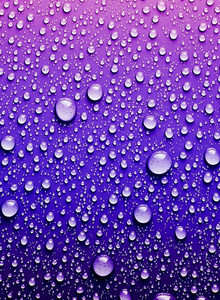 P-e-t-r My Photos photo 5045052