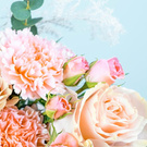 spoil me with some flowers