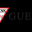 everything Guess :)