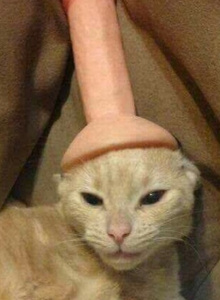 JONNY00007 My Photos photo 5077609