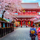 Viaje a Japón