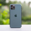 New Cell