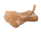 Dildo torso