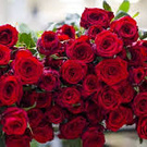 I would like to have