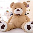 Giant teddy