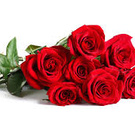 red  rose