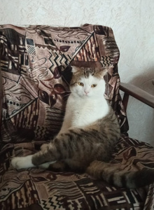 tati007 My Photos photo 5117035