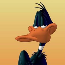 duffyduck1313