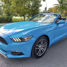 New Car