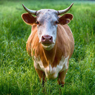 Больше эмоций