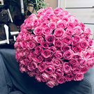 Sweet roses!Mmm!