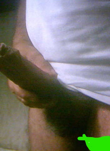 gambadilegno2 gambadilegno2 photo 5159504