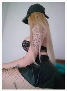 exotic-cool todits photo 5162454