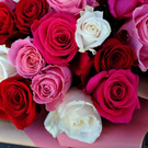 VanessaIvyxx wish list item 1 thumbnail