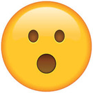 SINGLE SURPRISED TIP