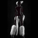 Fox costume