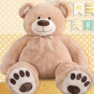 MY DREAM PARTNER